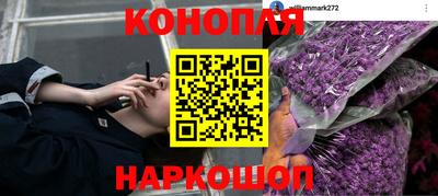 амф Партизанск